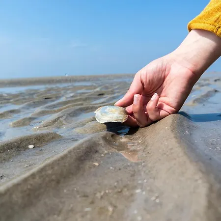 Ebbeunflut Apartman Sankt Peter-Ording