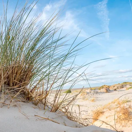 Apartman Ebbeunflut *