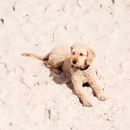 Ebbeunflut Sankt Peter-Ording