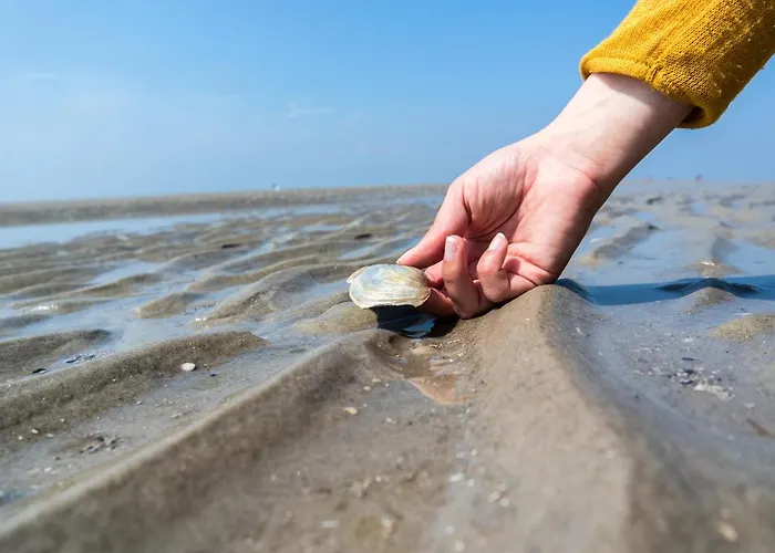 Ebbeunflut Apartamento Sankt Peter-Ording